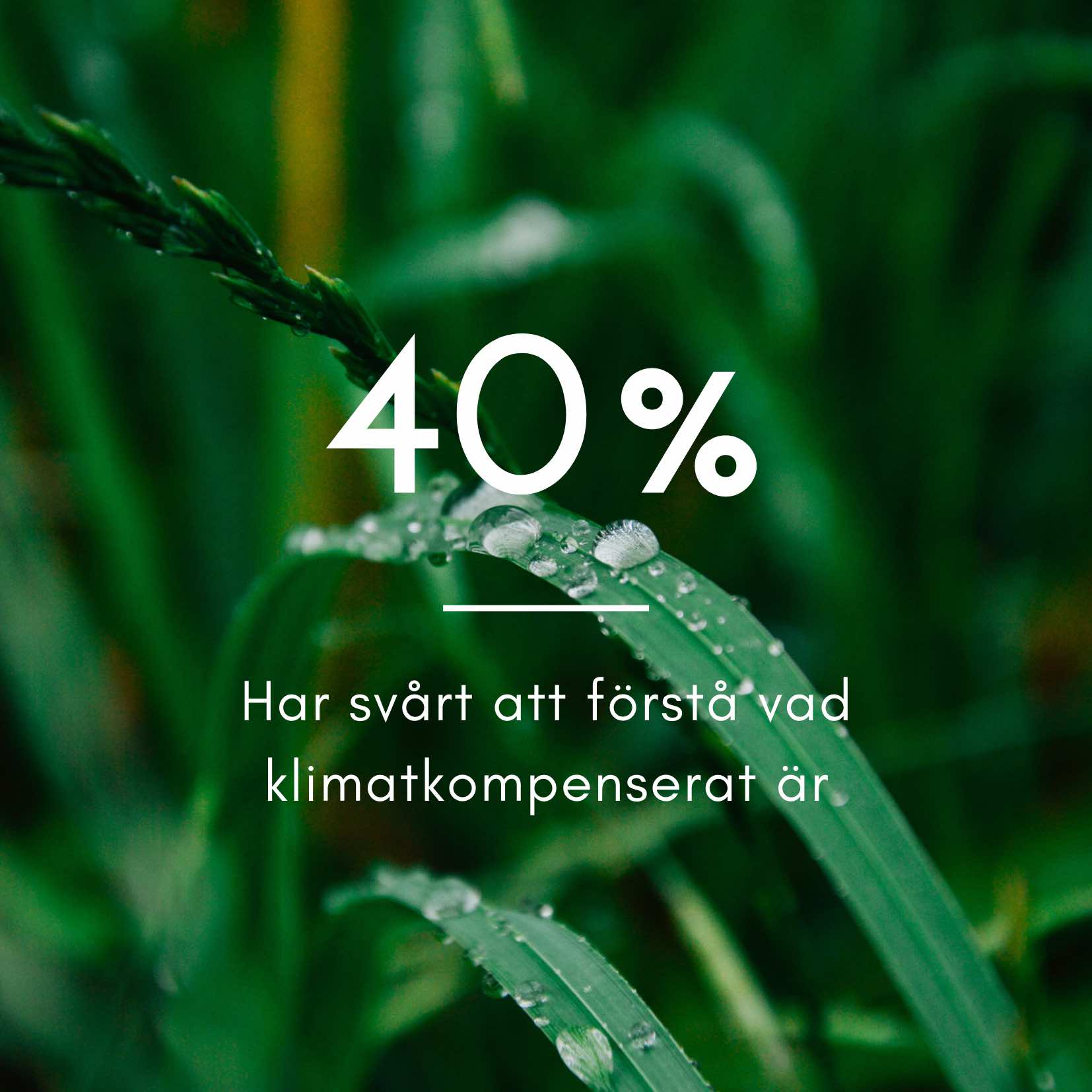 Statistik 40% förstår inte klimatkompenserat