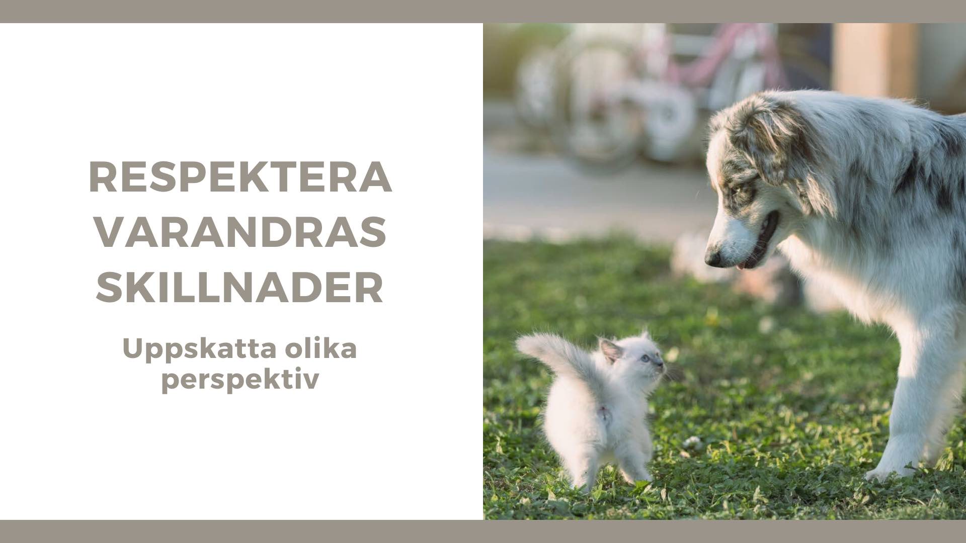 hund och katt med texten respektera varandras skillnader