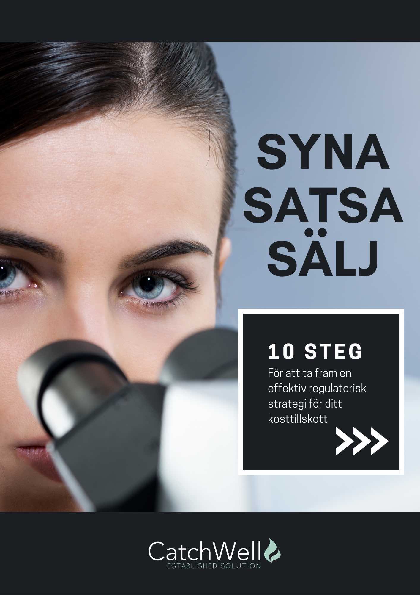 Syna satsa sälj 10 steg för en regulatorisk strategi