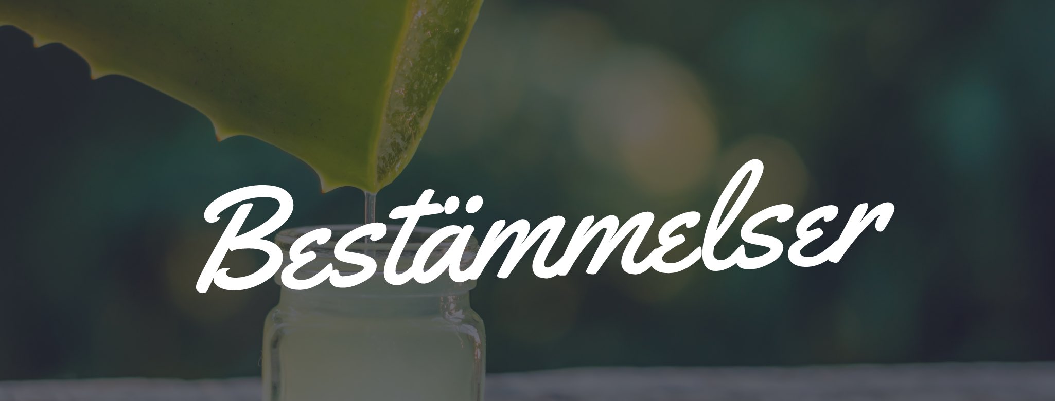 Bestämmelser