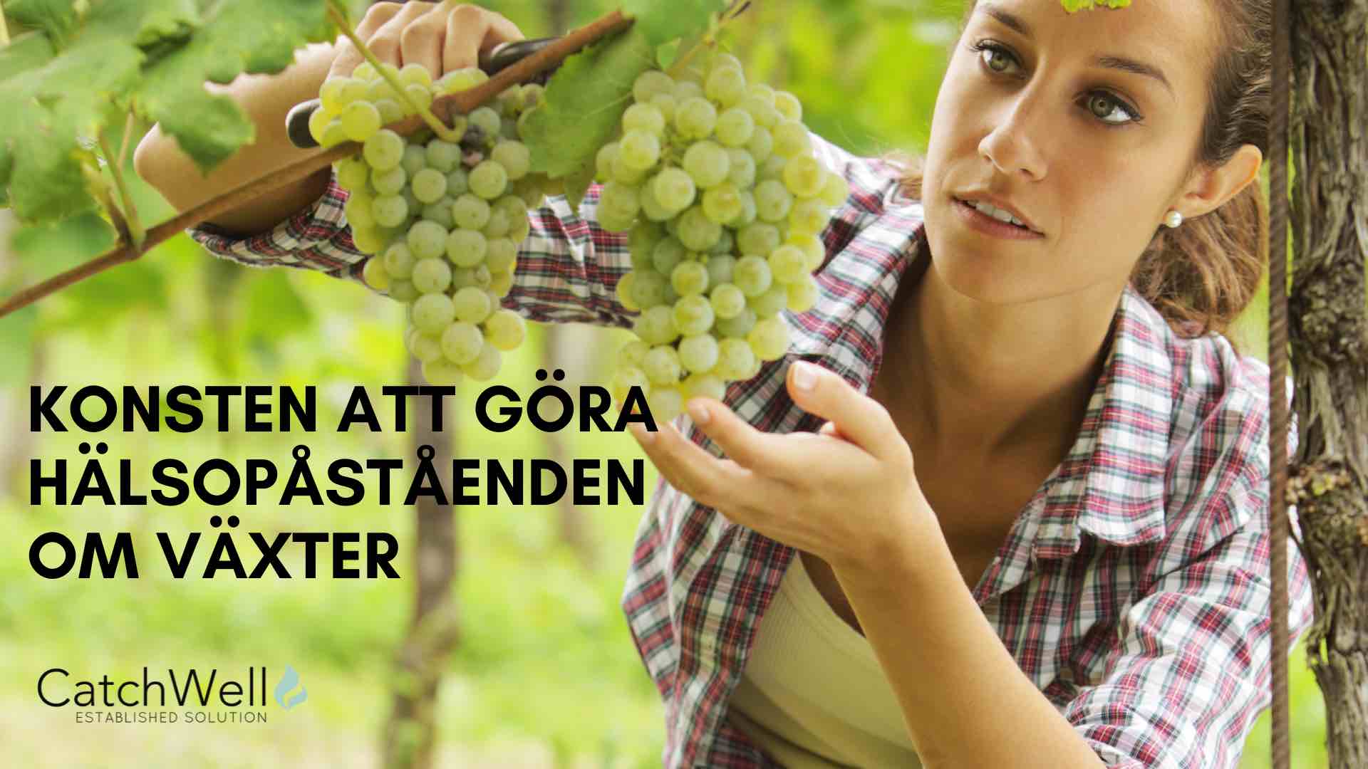 Konsten att göra hälsopåståenden om växter 2