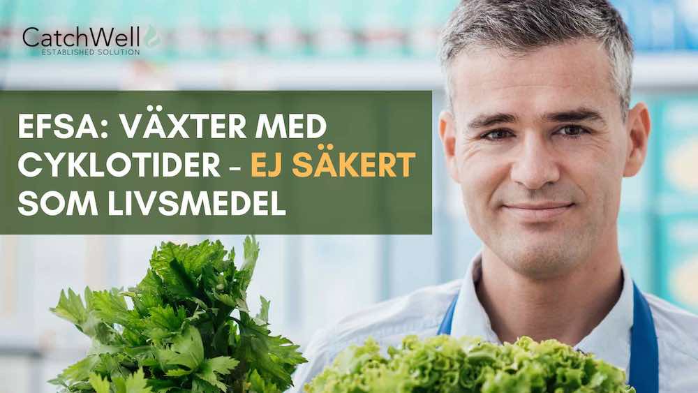 Efsa Växter med cyklotider - ej säkert som livsmedel