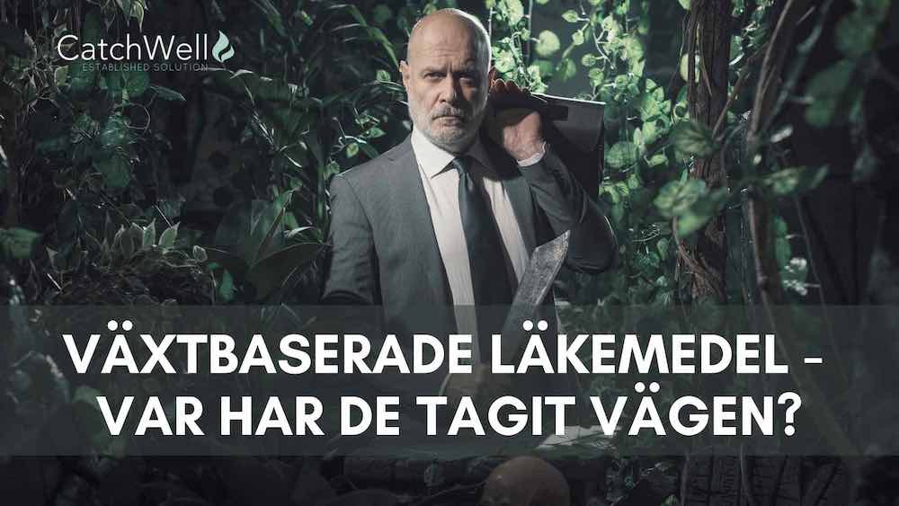 Växtbaserade läkemedel - var har de tagit vägen
