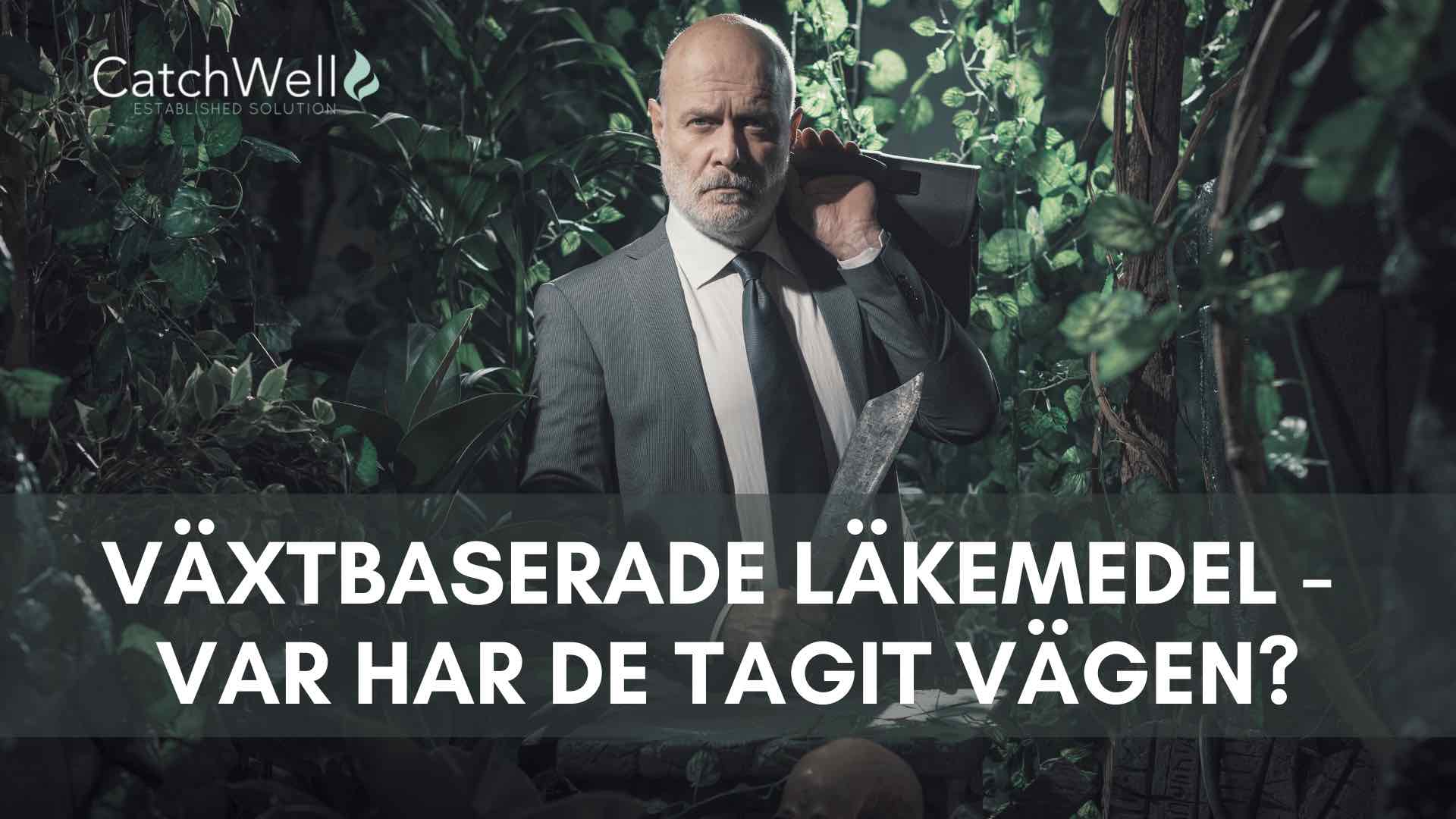 Växtbaserade läkemedel - var har de tagit vägen